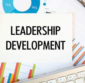 Organization & Leadership Development