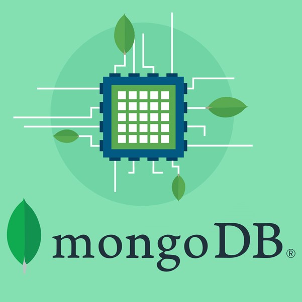 Database Manager (MongoDB)