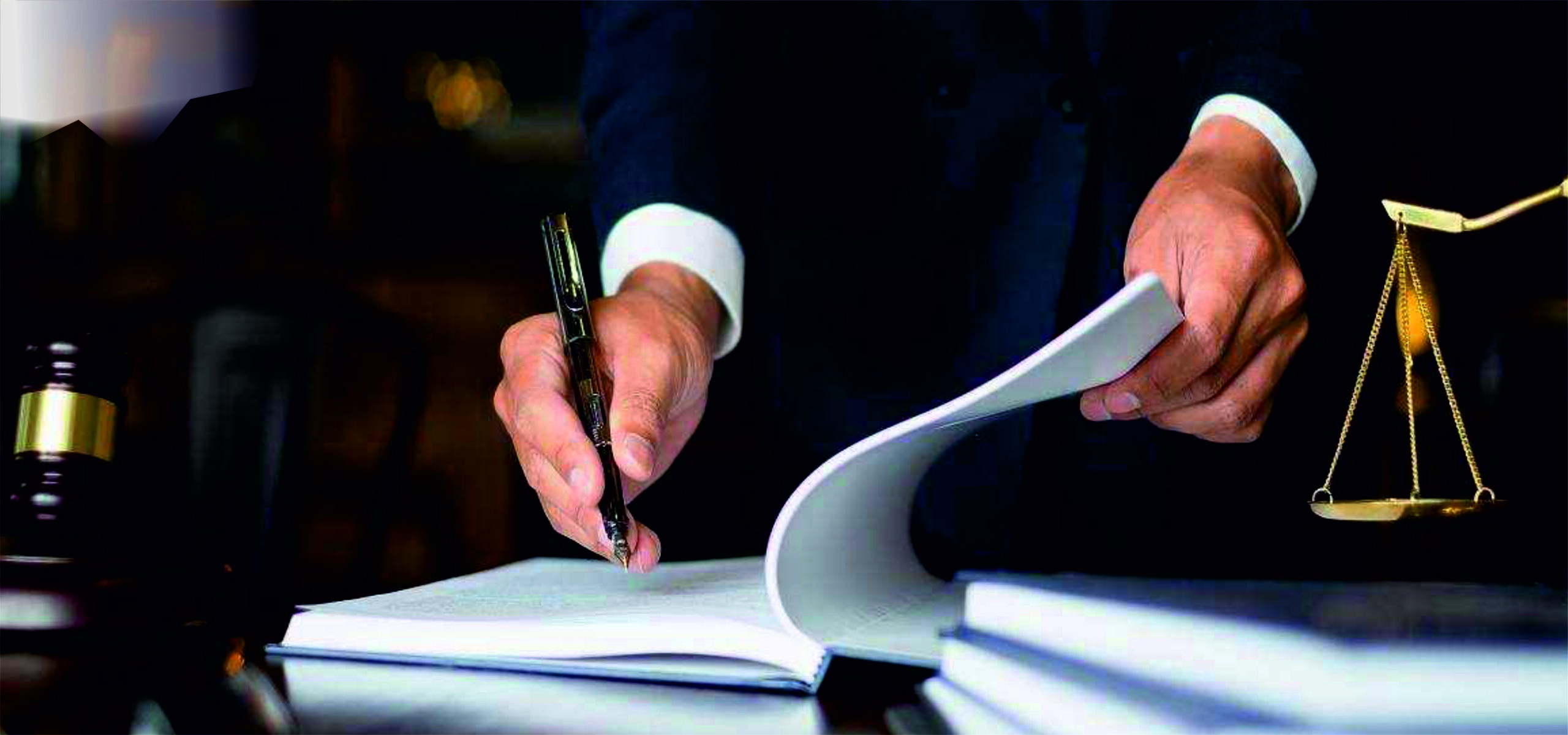 Insolvency Professional