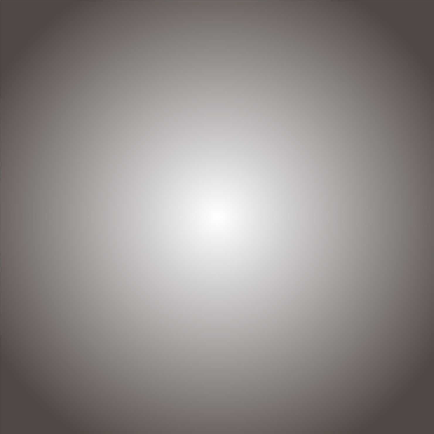 Blank Image